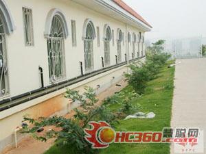 www.w4620.cn