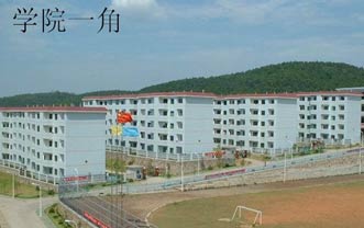 www.w4620.cn